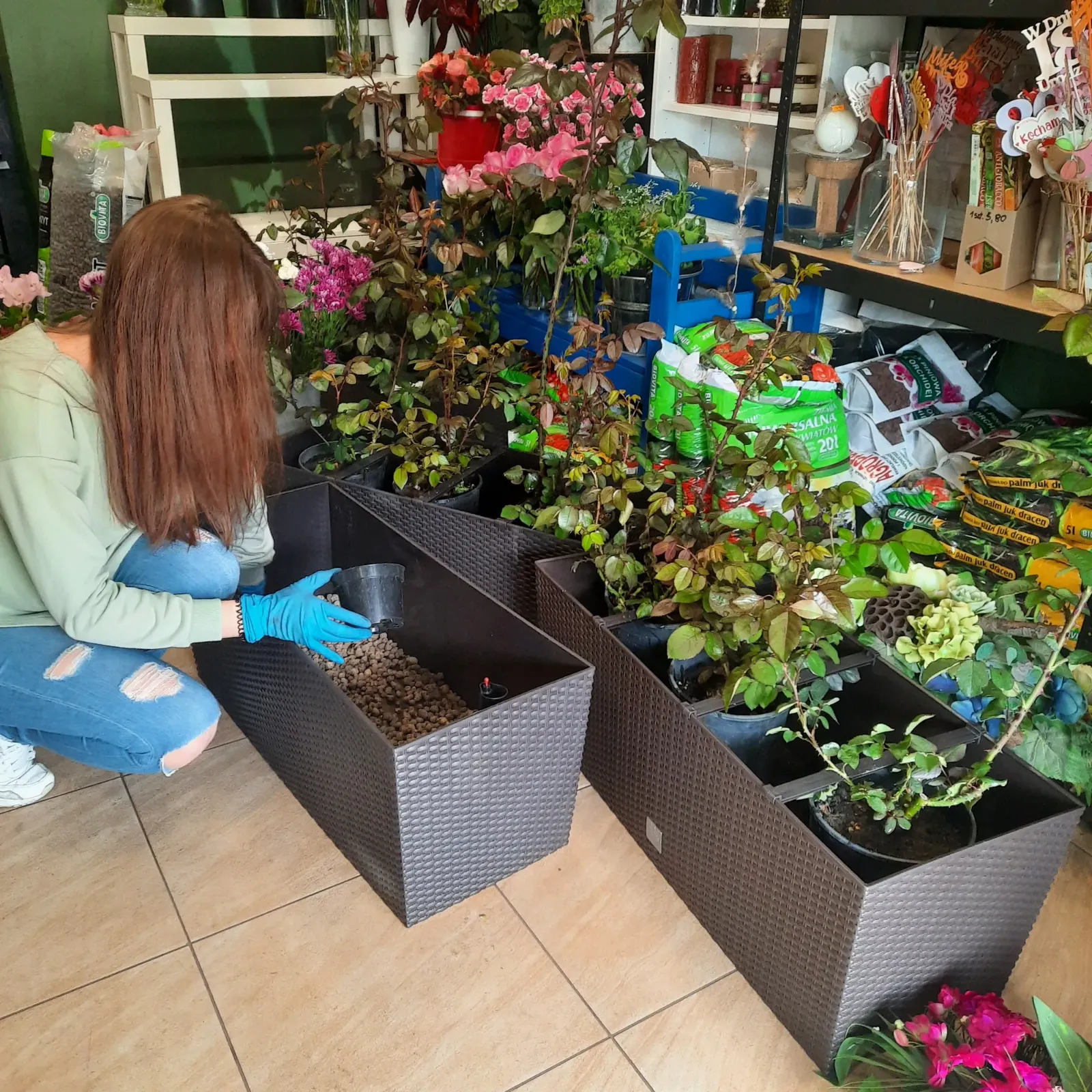 Obsadzanie donic w pracowni - Wiosenna Pracownia Florystyczna, Kraków