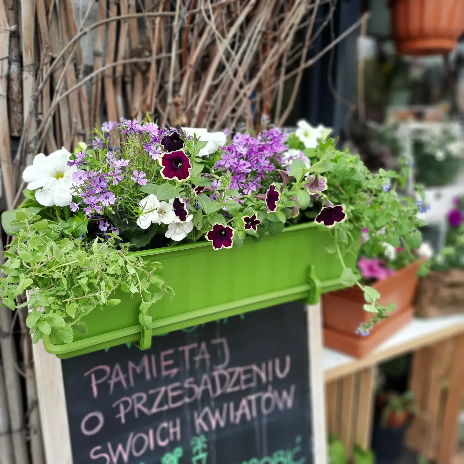 Skrzynka balkonowa z petuniami - Wiosenna Pracownia Florystyczna, Kraków